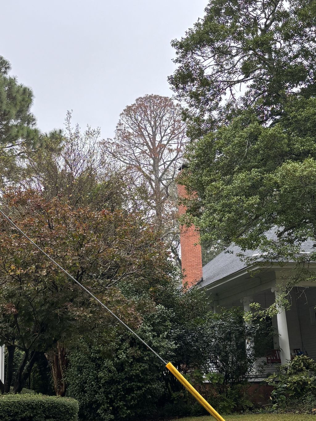 Tree Trimming and Removal