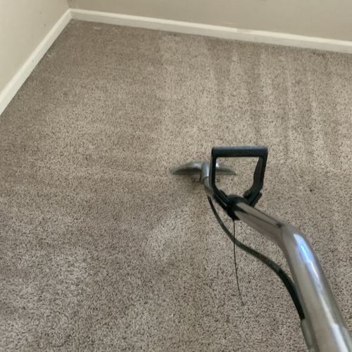 Carpet Cleaning