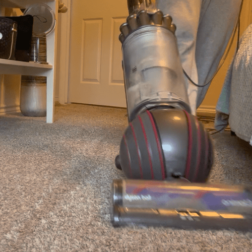 Carpet Cleaning