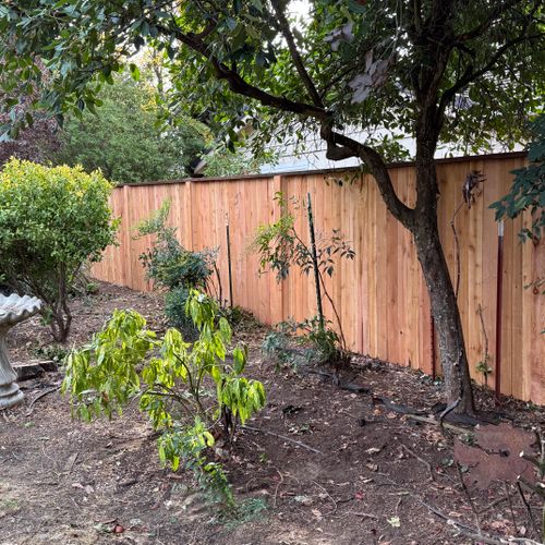 Cedar fence