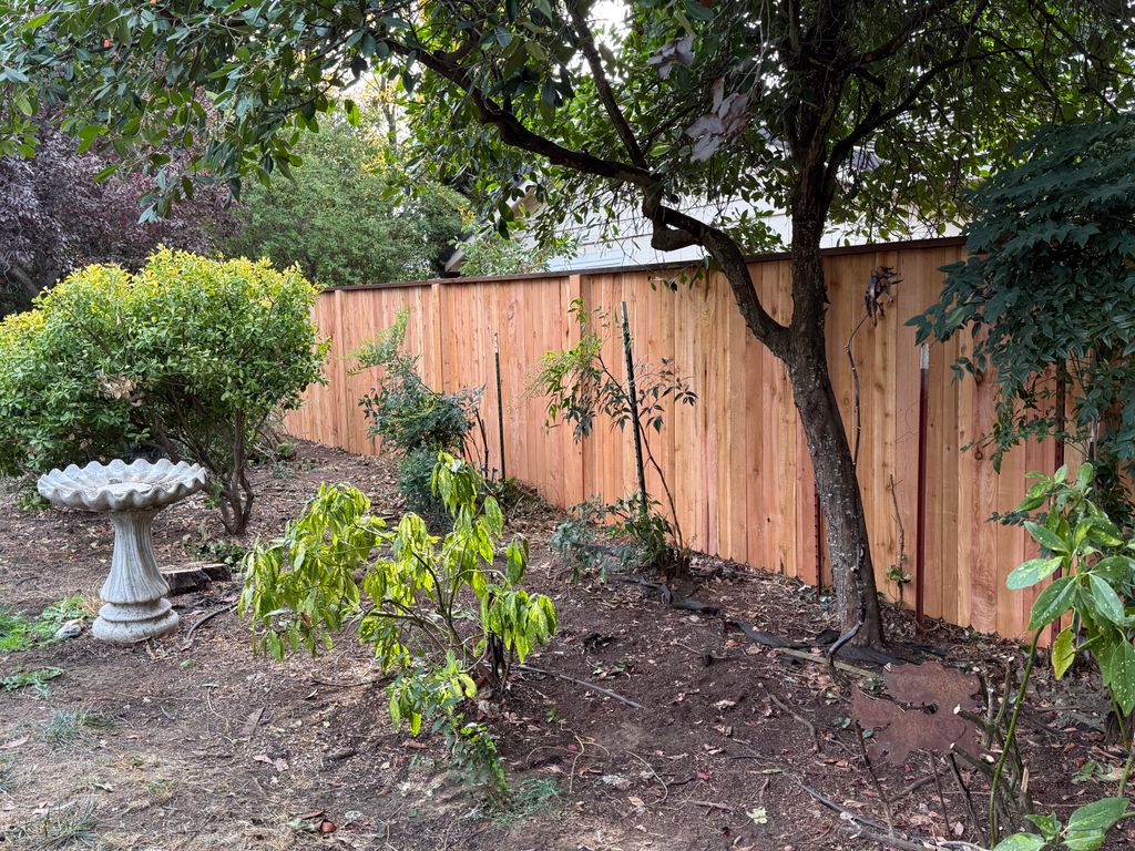 Cedar fence