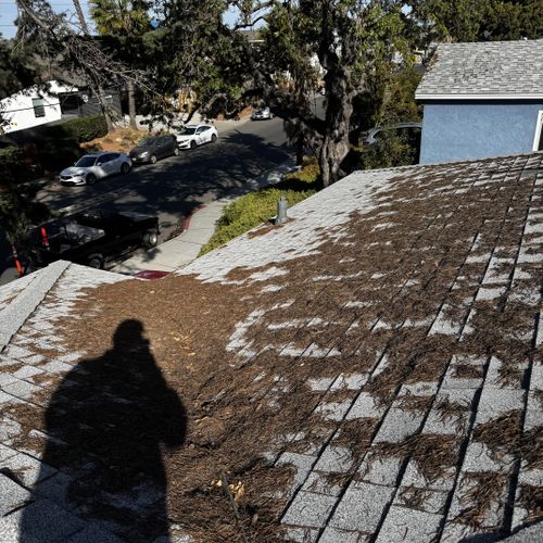 Roof Cleaning