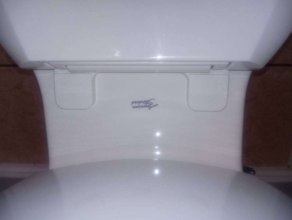 AFTER (clean toilet)