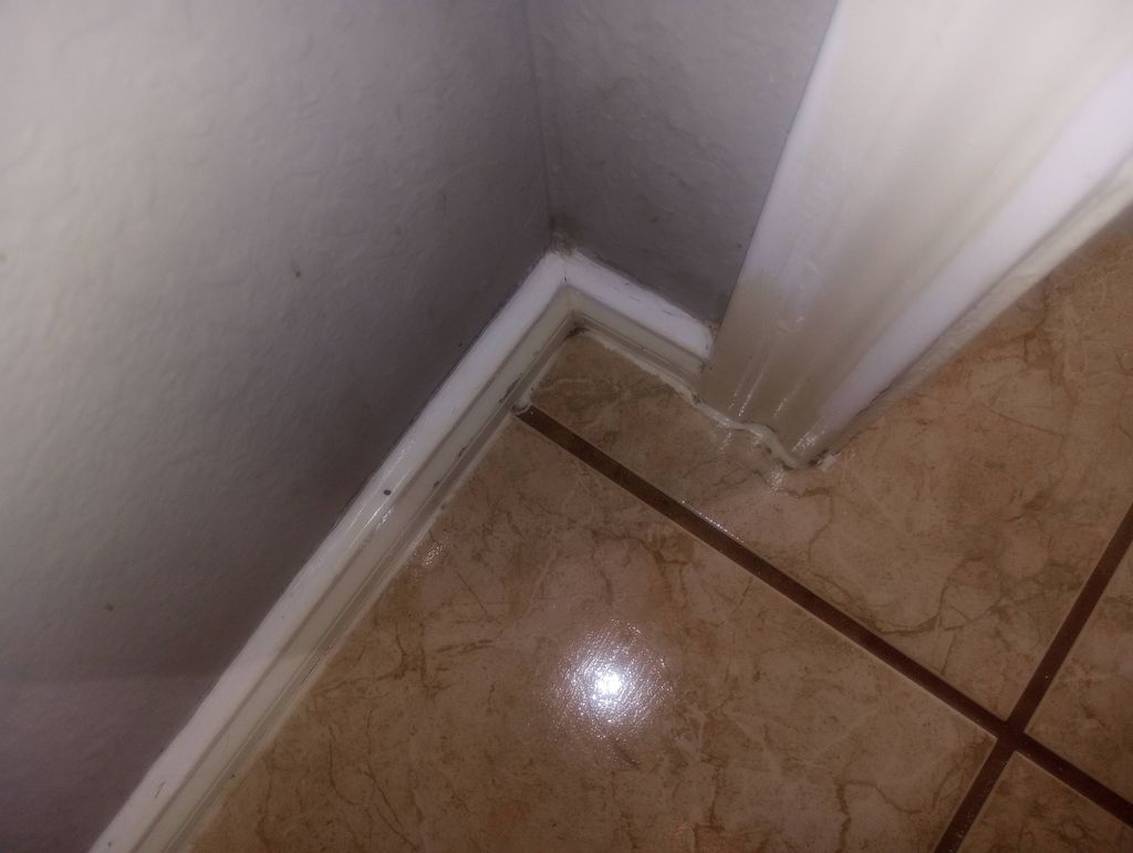 AFTER (pet waste removal)