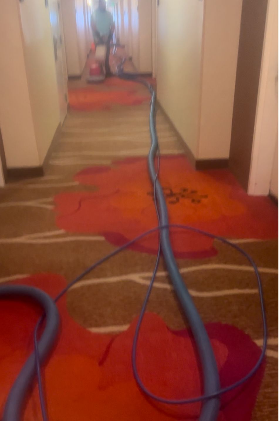 Carpet Cleaning