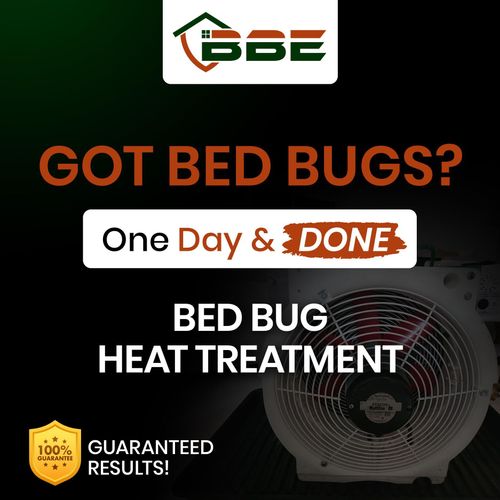 Bed Bug Exterminator | Tampa