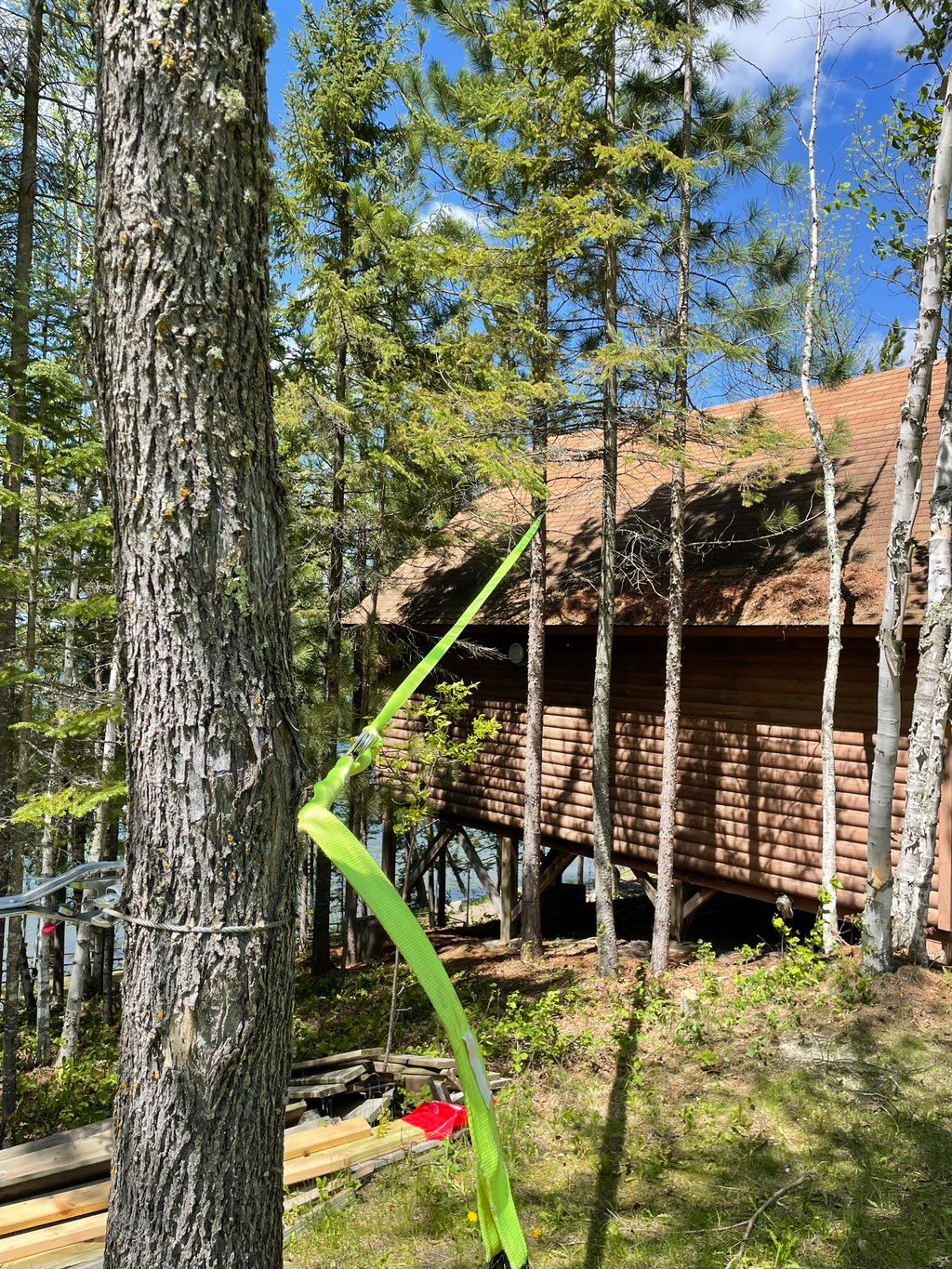 Removing tree too close to cabin.