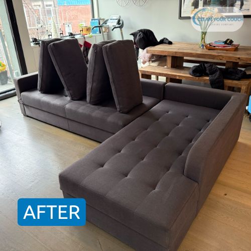 Upholstery and Furniture Cleaning