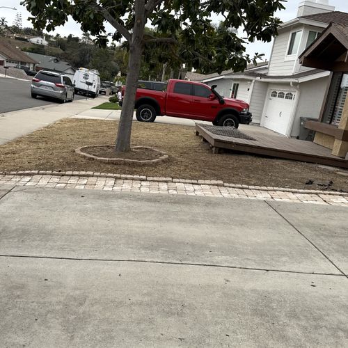 Tree Trimming and Removal