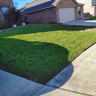 Avatar for Oswaldo lawn services