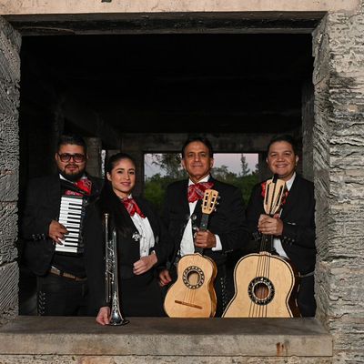 Avatar for Mariachi América del sol