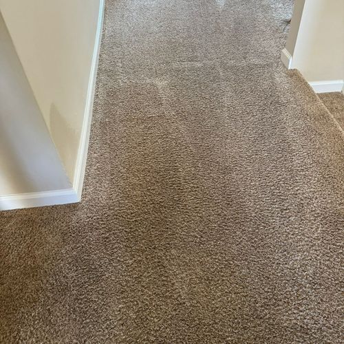 Carpet Cleaning