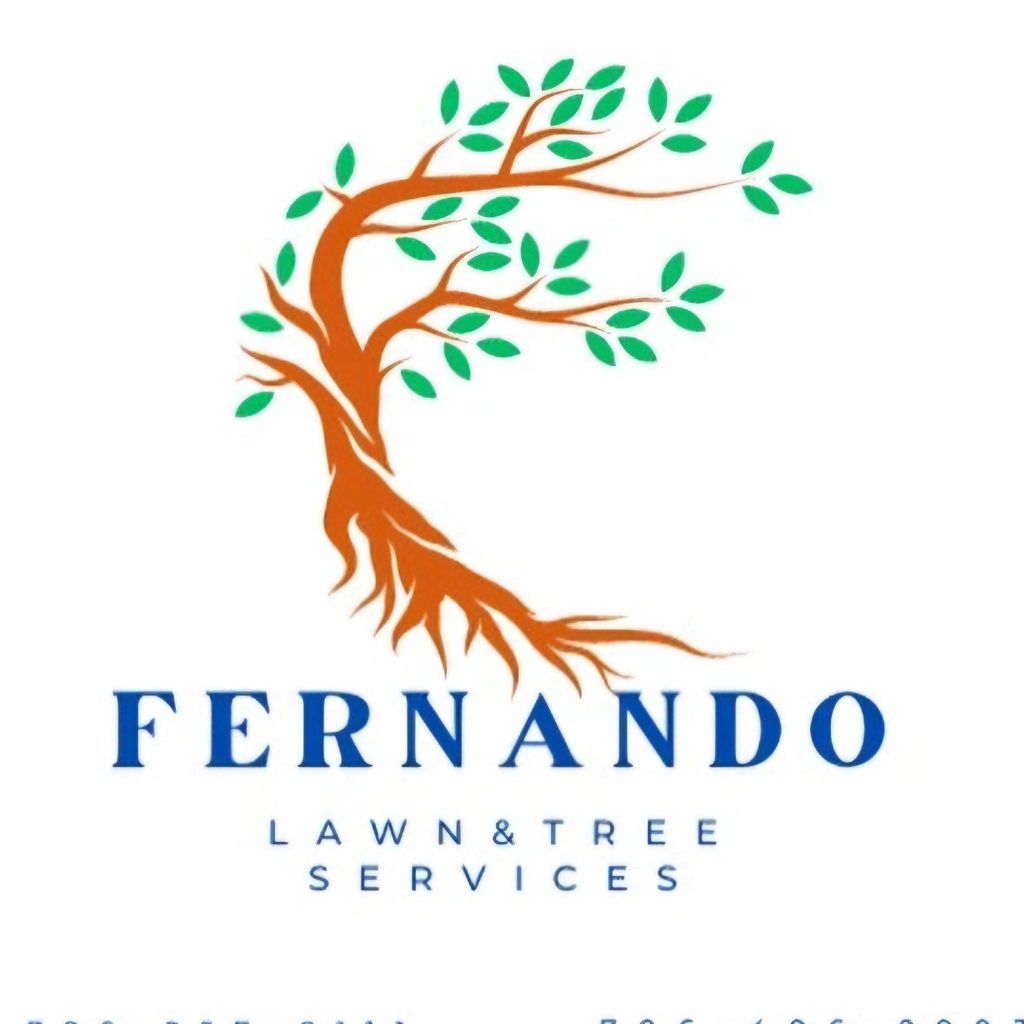 Fernando Lawn Service