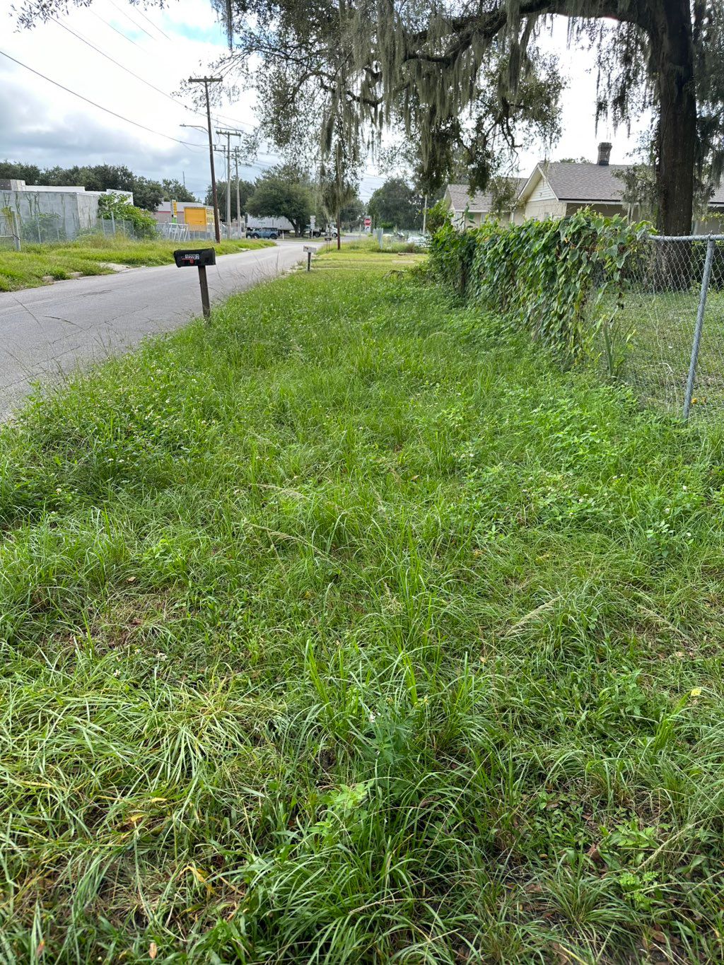 Overgrown job before 