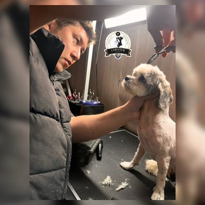 Avatar for Chester Mobile Grooming Pets