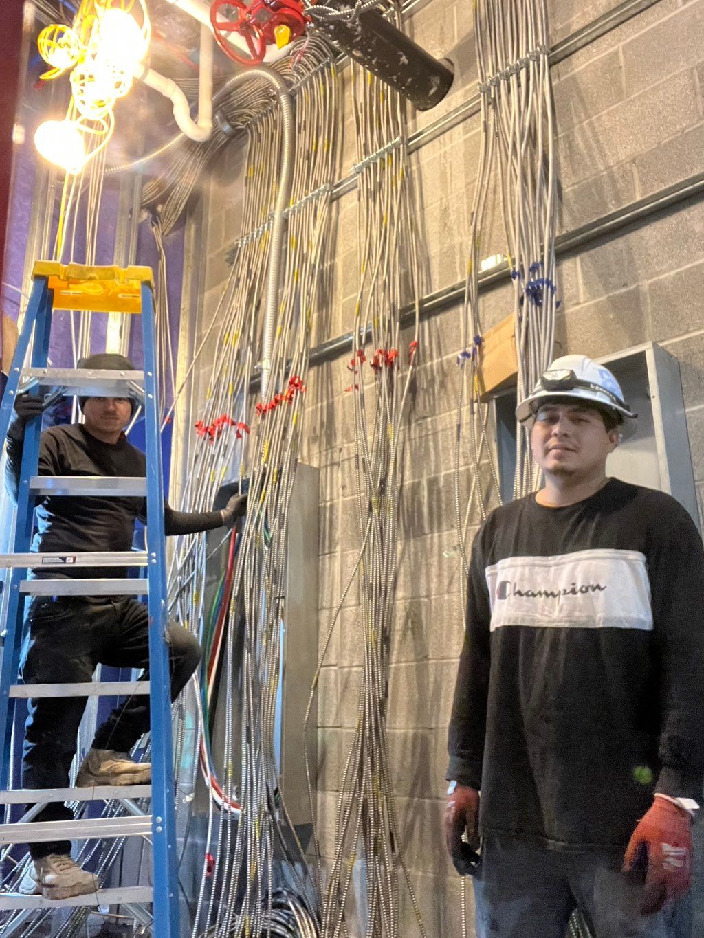 Projects and media
