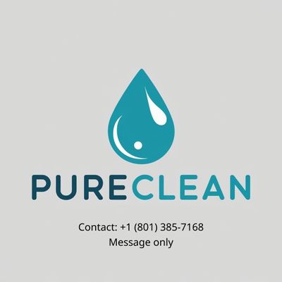 Avatar for Pure Clean