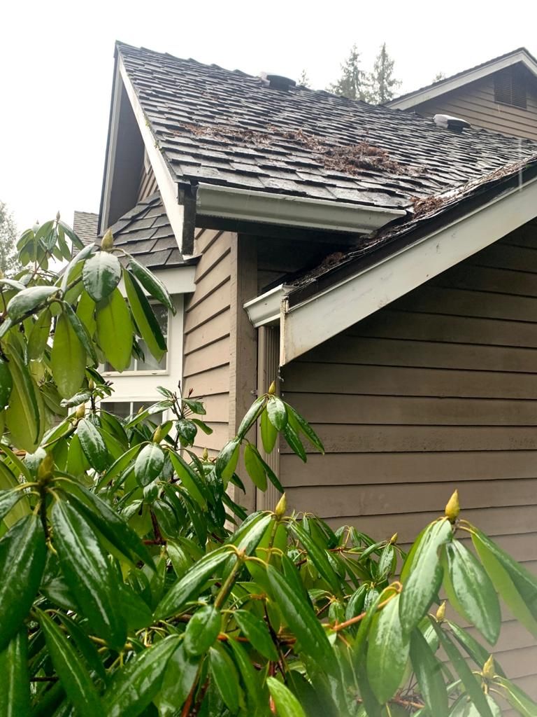 Gutter Cleaning and Maintenance