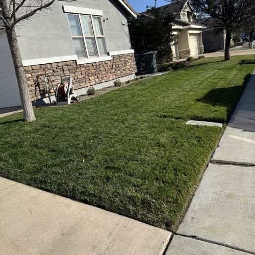 Full Service Lawn Care