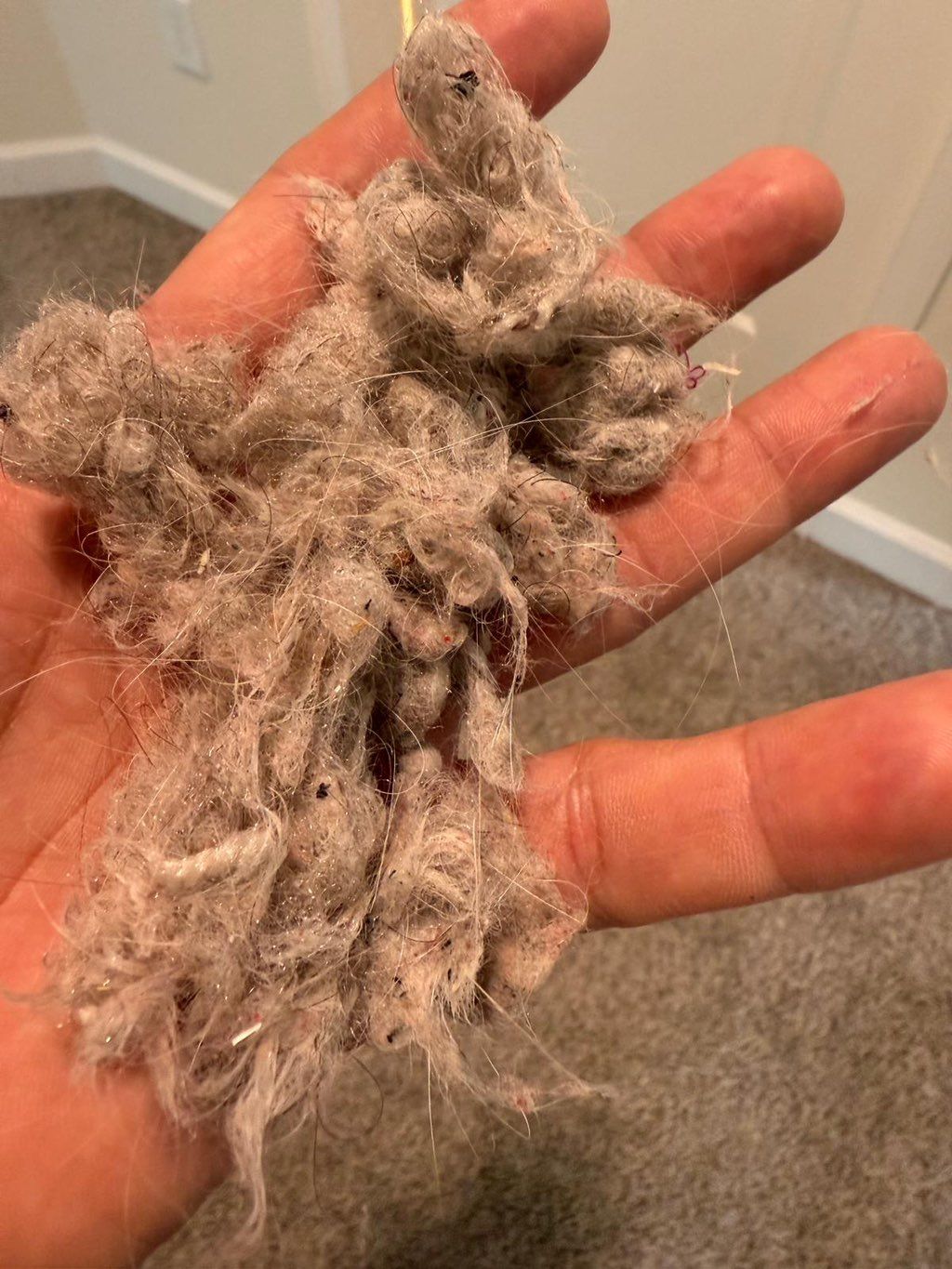 Customer photos