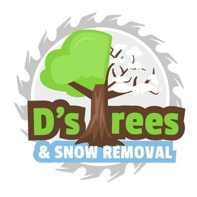 Avatar for Ds Trees And Snow Removal LLC