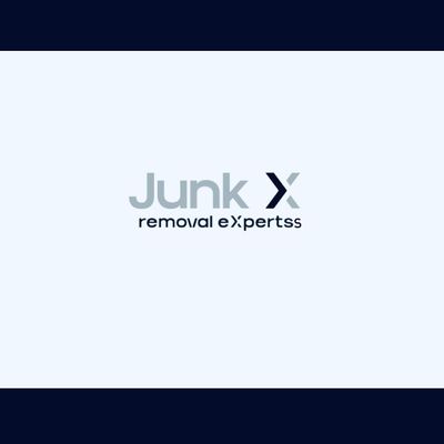 Avatar for junk expert's