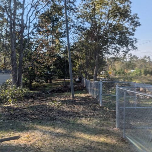 Pecan Tree Removal. (After)