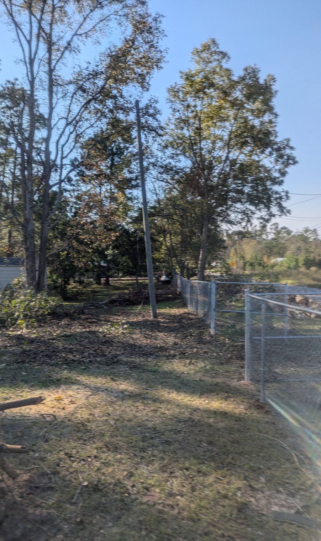 Pecan Tree Removal. (After)