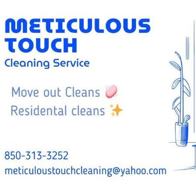Avatar for Meticulous Touch Cleaning