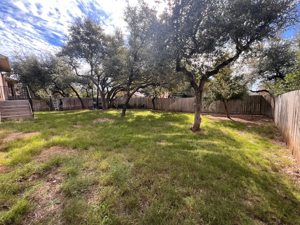 Tree Trimming and Removal