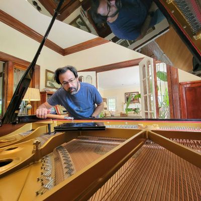 Avatar for Nima Momtaz piano tuning and services