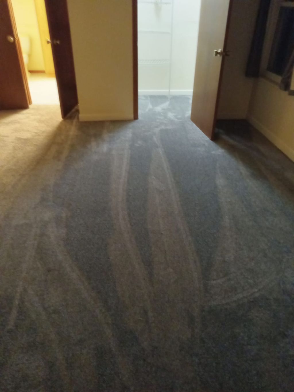 Carpet Installation