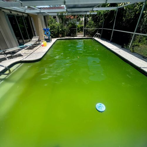 Swimming Pool Cleaning, Maintenance, and Inspection