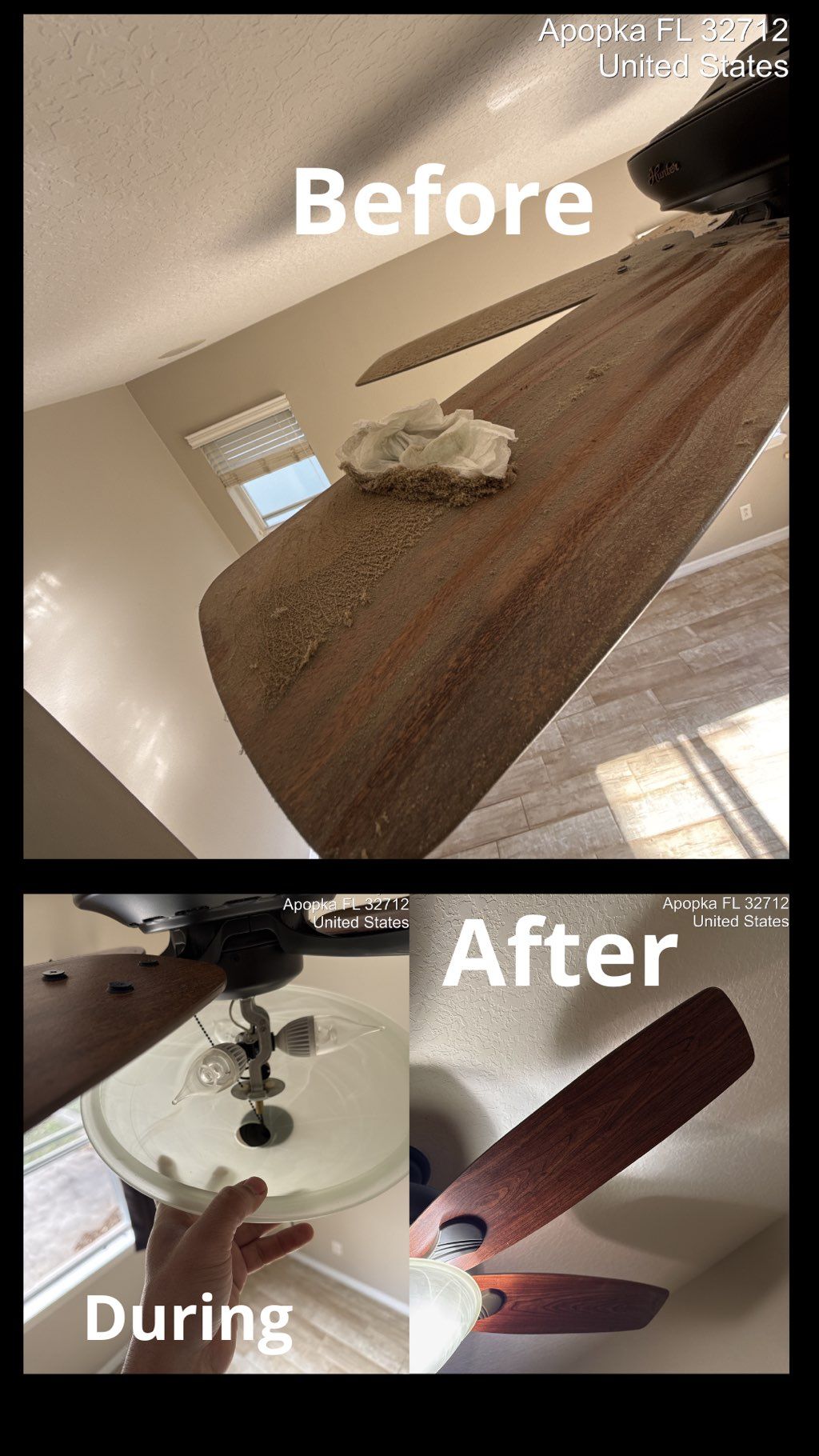 Projects and media