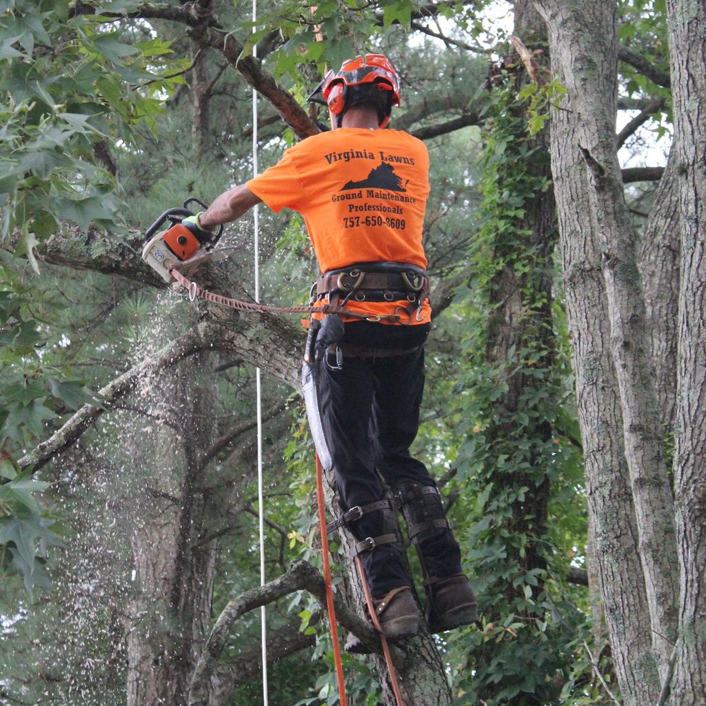 Virginia Tree and Landscaping Company