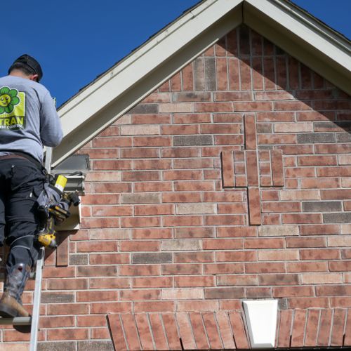 Rodents in the attic? We're here to help seal your