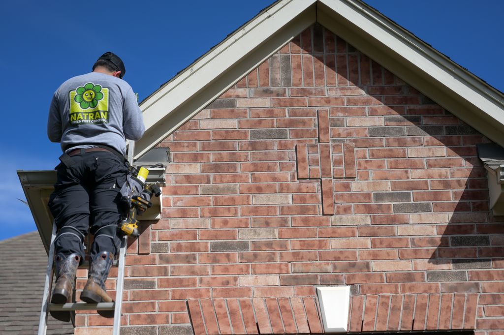 Rodents in the attic? We're here to help seal your