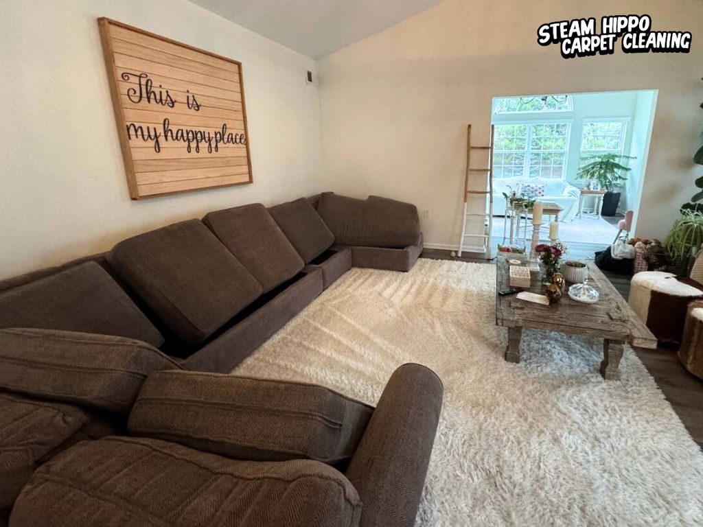 Sectional deep cleaning with pet odor control trea