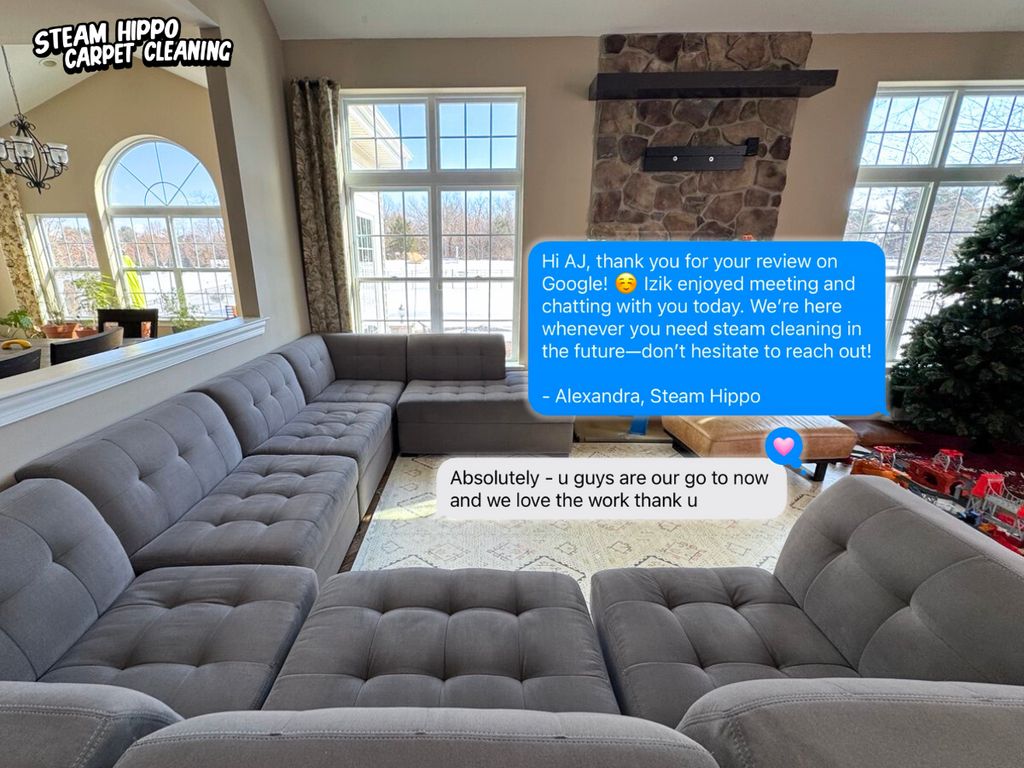 Upholstery Cleaning - Customer's Feedback on our w