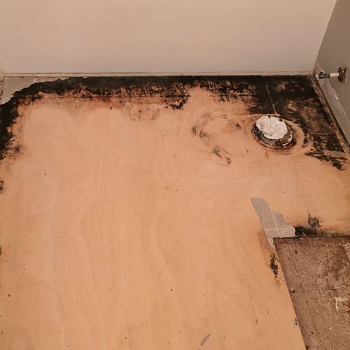 Floor Installation or Replacement