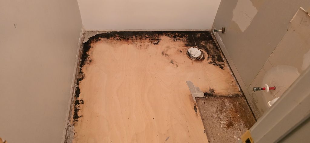 Floor Installation or Replacement