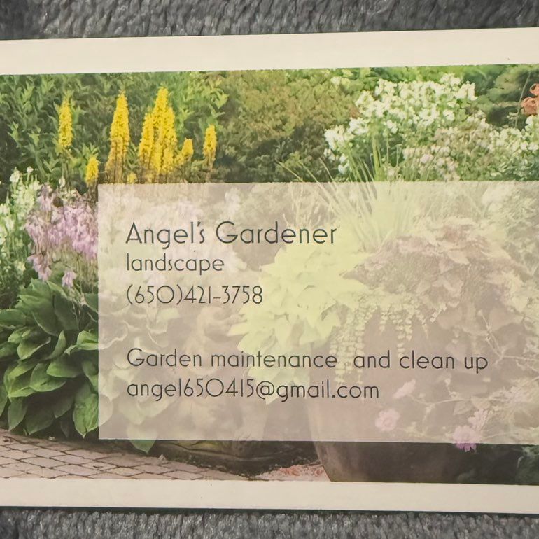 Angel’s Gardener