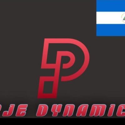 Avatar for PJEDYNAMICS