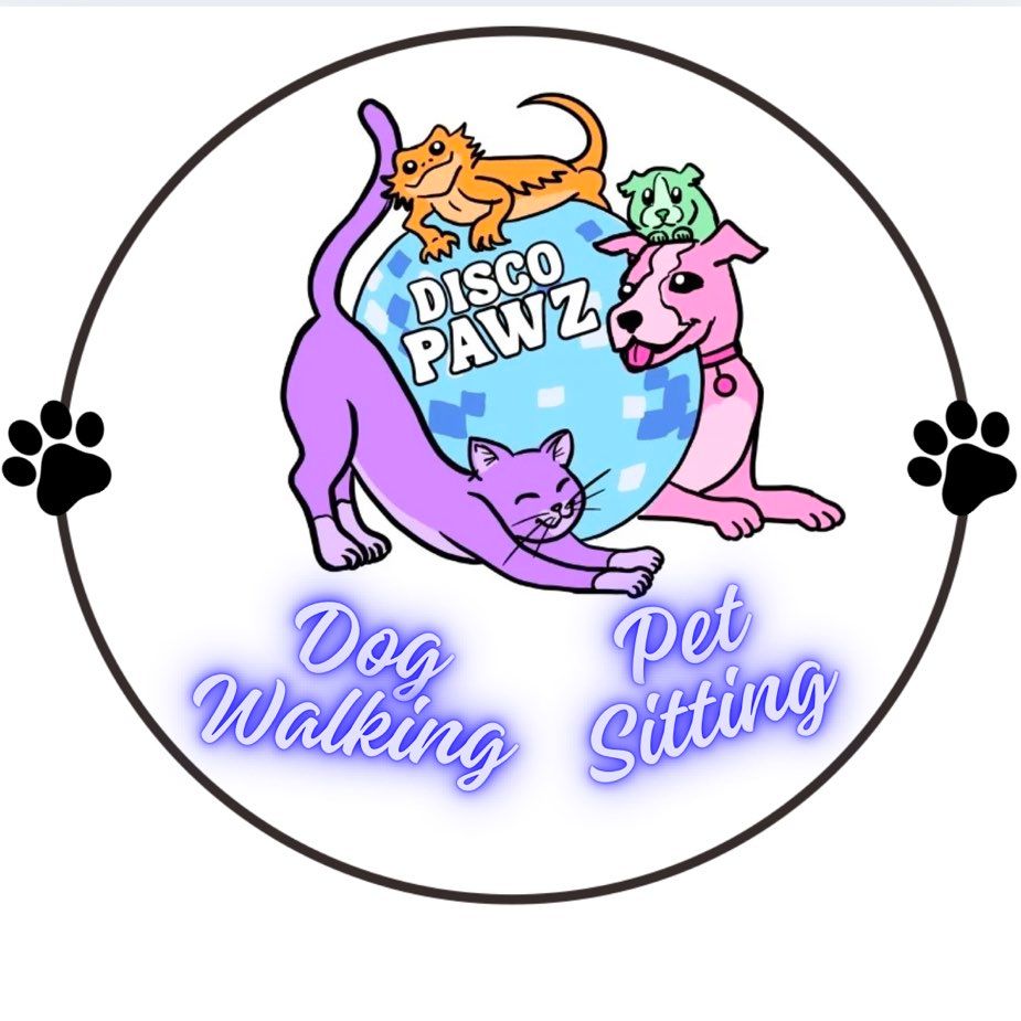 Disco Pawz- Dog walking & Pet sitting