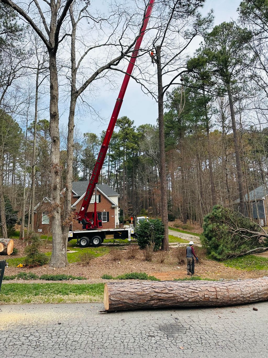 Tree Trimming and Removal