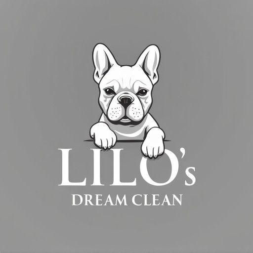 LDC (Lilo's Dream Clean)