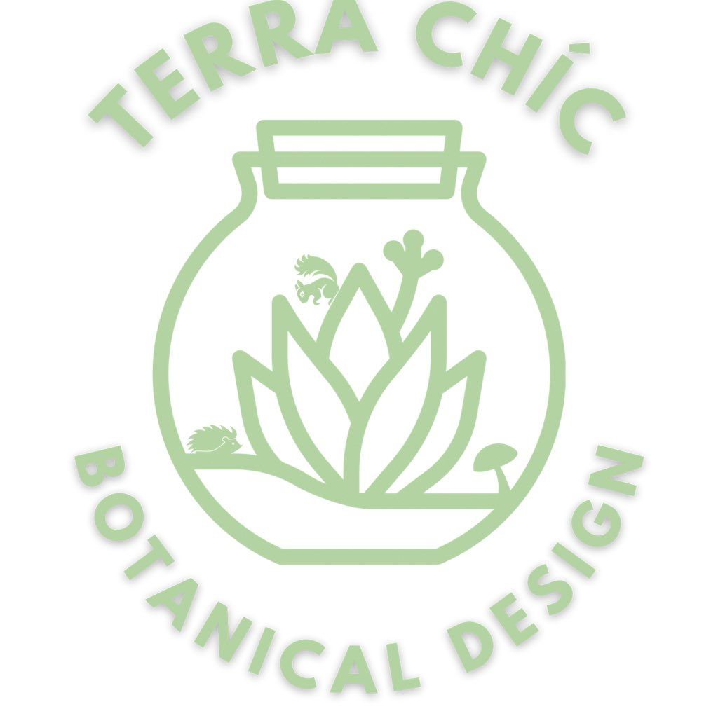 Terra Chic