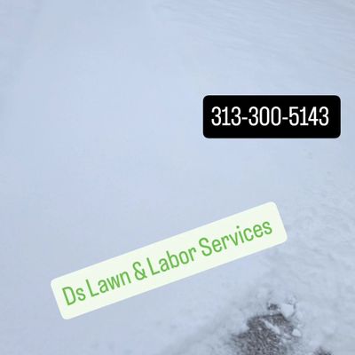 Avatar for Ds Lawn & Labor Services