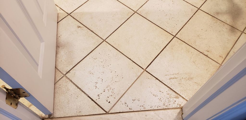 Floor Before