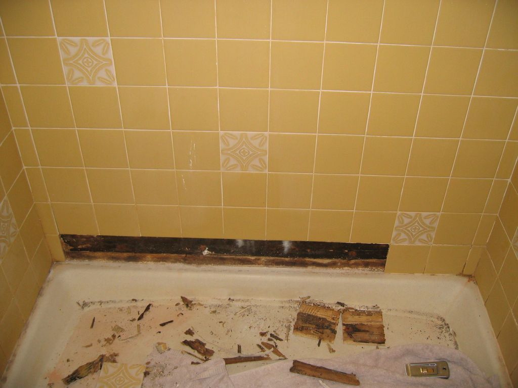 Shower Before